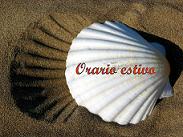 conchiglia_54_1548