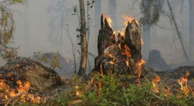 Dichiarazione dello stato di grave pericolosità per gli incendi boschivi del...