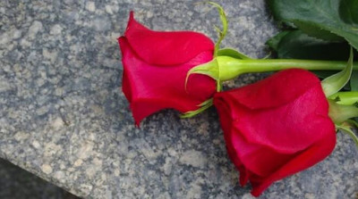 COMMEMORAZIONE DEI DEFUNTI - ORARIO DEL CIMITERO COMUNALE