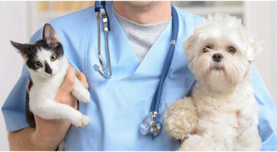 AVVISO ESPLORATIVO PER AFFIDAMENTO DI PRESTAZIONE PROFESSIONALE  - CANI RANDA...