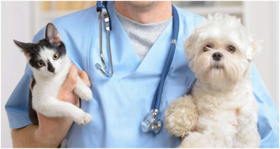 AVVISO ESPLORATIVO PER AFFIDAMENTO DI PRESTAZIONE PROFESSIONALE - CANI RANDA...