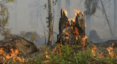 Dichiarazione dello stato di grave pericolosità per gli incendi boschi...