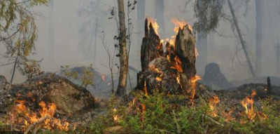 Dichiarazione dello stato di grave pericolosità per gli incendi boschi...