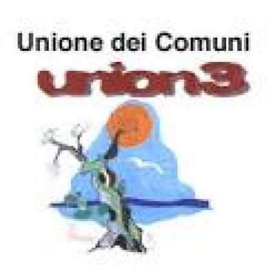 FUNZIONAMENTO CENTRALE UNICA DI COMMITTENZA PRESSO L'UNION 3