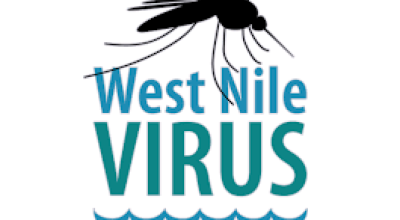 MISURE DI CONTRASTO DELL’INSORGENZA DI CASI DI INFEZIONE DA WEST NILE V...